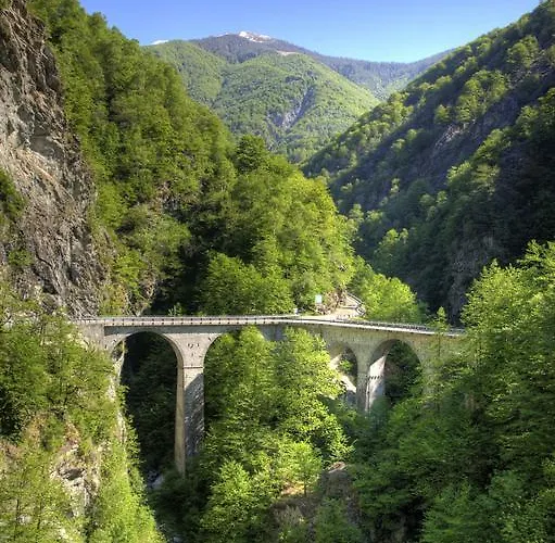 @ Home Hotel Locarno Отель Muralto