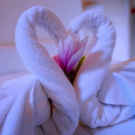 Отель @ Home Hotel Locarno